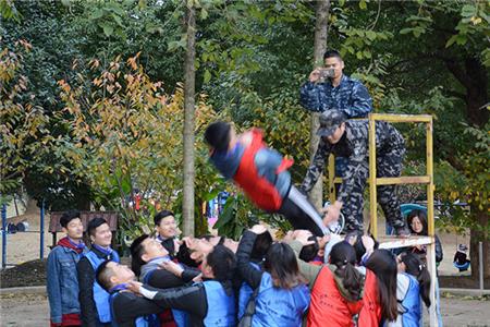 信任背摔